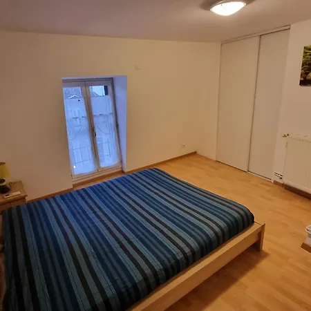 Apartment Grand Coeur De Dijon