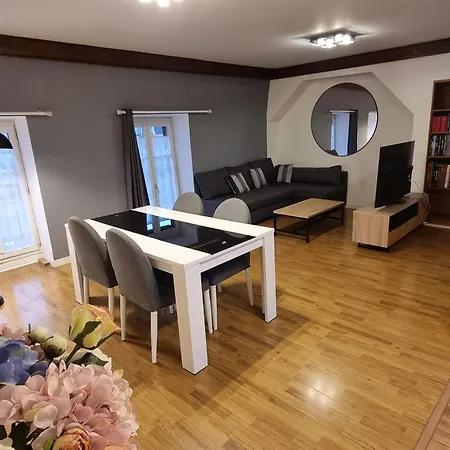Grand Coeur De Apartment Dijon